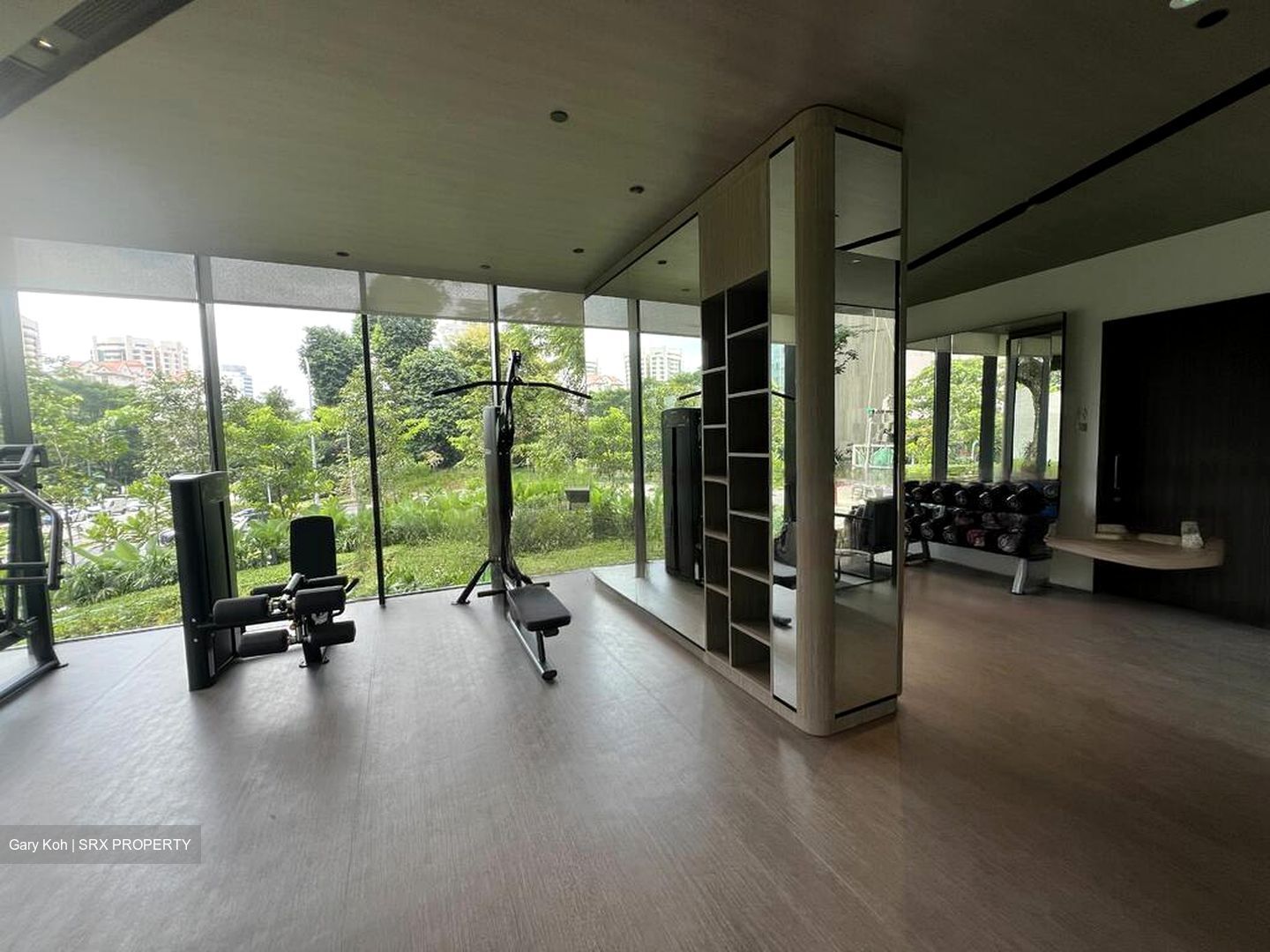 Irwell Hill Residences (D9), Apartment #459058911